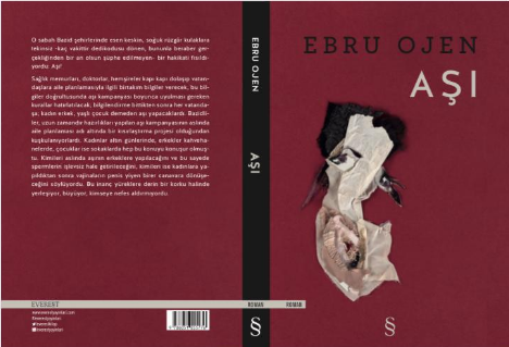 Ebru Ojen Aşı Romanı