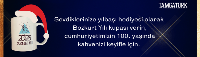 https://www.hepsiburada.com/yenisey-bozkurt-yili-yilbasi-temali-kupa-p-HBCV00003GEF34