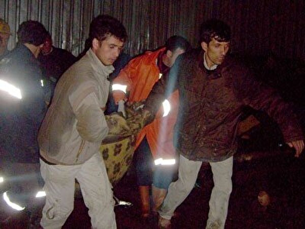 Türkiye'de Son Yıllarda Yaşanan Maden Kazaları