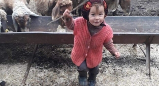 Aile Bakanlığı'ndan Müslüme Hakkındaki Haberlere Yayın Yasağı Talebi