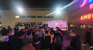 Başıboş Köpekler 12 Yaşındaki Çocuğu Ağır Yaraladı