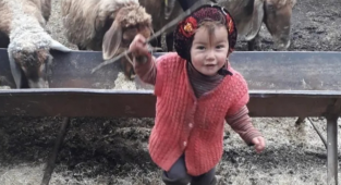 Yayın Yasağına Uymayanlarla İlgili Soruşturma Başlatıldı