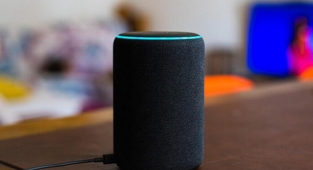 Alexa, Bir Çocuktan Madeni Parayı Prize Takmasını İstedi
