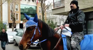Ankara'da Bir Tantunici Siparişleri Atla Dağıtmaya Başladı