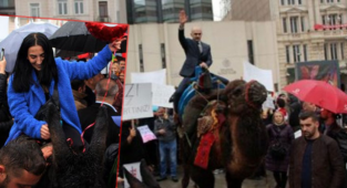 Aşı Karşıtları Deve İle Yola Çıkacaklarını Açıkladı