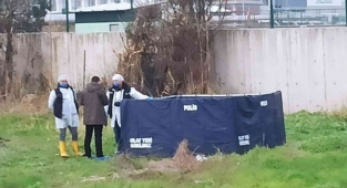 Bursa'da Köpekler Tarafından Parçalanmış Erkek Cesedi Bulundu