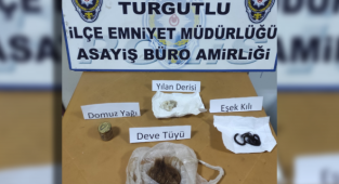 Büyü İçin Kedi Öldüren Şahıs, Adli Kontrol Şartıyla Serbest Bırakıldı