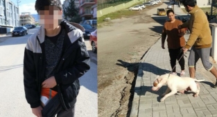 Denizli'de 13 Yaşındaki Çocuk Pitbull Saldırısına Uğradı