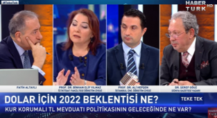'Hükümetin Kur Korumalı Mevduat İçin Bütçeden Ödeme Yapma Yetkisi Yok'