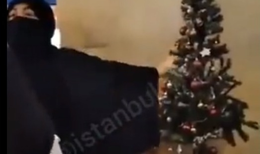 İstanbul'da Bir Kadın, Yılbaşı Ağacını Tehdit Etti