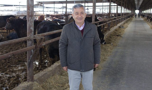 Kırmızı Et Krizi Kapıda: Besiciler İflas Ediyor
