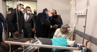Başıboş Köpekler 8 Yaşındaki Çocuğa Saldırdı: Kafa Derisi Soyuldu