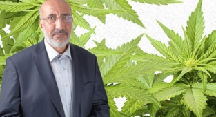 Dilipak: Kenevirin Bin Fazileti Var