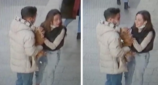 Hırsız Sevgililer, Cins Köpeği Seve Seve Çaldılar