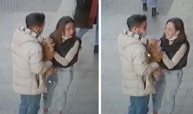 Hırsız Sevgililer, Cins Köpeği Seve Seve Çaldılar