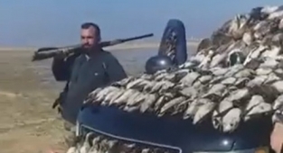 Hizbullahçılar, Suriye'de Kuş Cennetindeki Kuşları Katletti