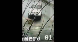 Köpek Ezen Katarlı Tutuklandı: Ev Alarak Vatandaş Olmuş