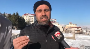 Sivas'ta Başıboş Köpek Saldırısı: 11 Köpek Üzerine Çullandı