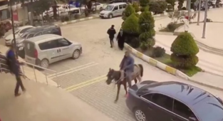 At Arabasına El Konuldu: Belediyeye Atıyla Girmek İstedi
