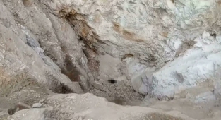 Hazine Bulmak İsteyen Defineciler Siyah Tavuk Kesip Kuyuya İndiler