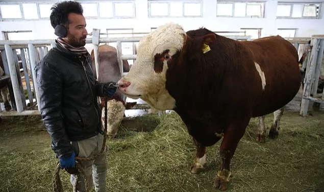Milky'nin Spermleri 1,25 Milyon Lira Kazandırdı