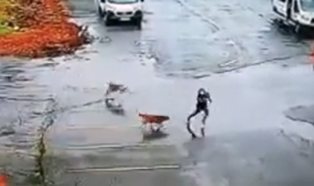 Sokak Köpekleri Okul Önünü Mesken Tuttu