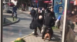 Tartıştığı Esnafa Pitbull Saldırttı