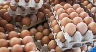 Ticaret Bakanlığı 'Yumurta Fiyatları' İçin Müfettiş Görevlendirdi