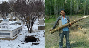 Afyon'da Bir Profesör Mezarlıkta Define Ararken Yakalandı