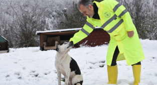 Alinur Aktaş Başıboş Köpek PR'ı Yaptığı Paylaşıma Gelen Onlarca Yorumu Gizledi
