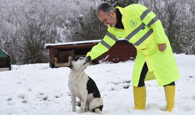 Alinur Aktaş Başıboş Köpek PR'ı Yaptığı Paylaşıma Gelen Onlarca Yorumu Gizledi
