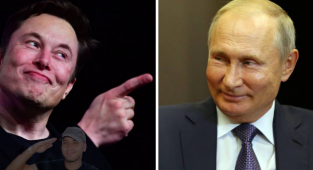 Elon Musk, Putin'i Kafes Dövüşüne Davet Etti