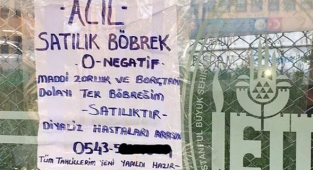 Google'da 'Böbreğimi Satmak İstiyorum' Araması Yapanların Oranı Yüzde 400 Arttı