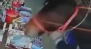 Hamile Yarış Atını Çalıp Markete Girdi