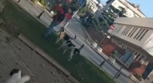 Köpek Saldırısı Yetmiyor: Köpeklere Karşı Kendini Savunan Vatandaş Bir de Köpekperestler Tarafından Linç Edildi