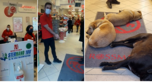 Rossmann Çalışanı, Başıboş Köpeği Mağazadan Çıkarmak İstediği İçin Hedef Gösterildi: Rossmann Köpekseverlerden Özür Diledi