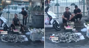 Bir Grup Kaçkın Balıkları Yere Sererek Sattı: 'Hindistan Değil Mersin'