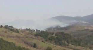 Çanakkale'de Orman Yangını: Alevler Köye Girmek Üzere 