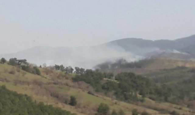 Çanakkale'de Orman Yangını: Alevler Köye Girmek Üzere