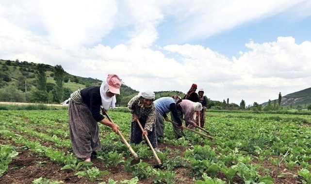 Çiftçi Sayısı Son Yılların En Düşük Seviyesine İndi