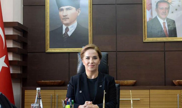 Eşi Gezi Davası Kararını Eleştiren Kocabıyık'ı O Gece Soylu Aramış