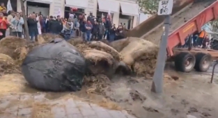 Fransa'da Yüksek Maliyetleri Protesto Eden Çiftçiler Hükümet Binalarının Önüne Gübre Döktü