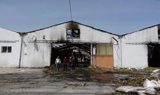 'Kuşum Kaçtı' Deyip Çatısına Çıktığı Fabrikayı Yaktı