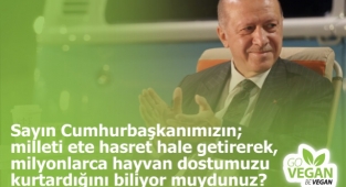 KYK Yurdunda Öğrencilere Yemek Olarak 'Patatesli Patates' Verildi