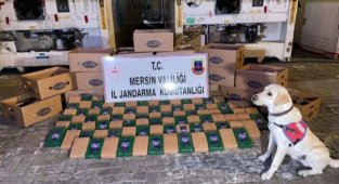 Mersin'de 258 Kilogram Kokain Ele Geçirildi