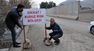 MS. 2022-Türkiye | 2 Kişiyi Isıran Başıboş Köpek Kuduz Çıktı: 6 Mahalle Karantina Altına Alındı