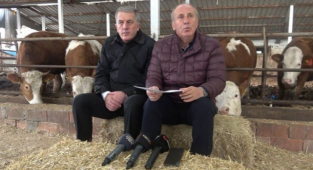 Muharrem İnce Ahırda Basın Toplantısı Yaptı