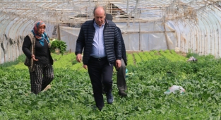 Muharrem İnce Bu Kez Seradan Konuştu: Sabit Fiyat Uygulamasına Geçecekmiş; Boş İşler Bunlar