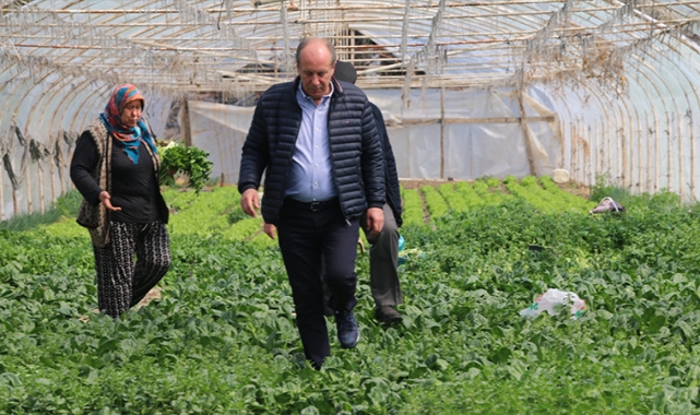 Muharrem İnce Bu Kez Seradan Konuştu: Sabit Fiyat Uygulamasına Geçecekmiş; Boş İşler Bunlar