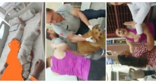 Ruh Hastası Bir Grup Bir Çocuğu Ölümün Eşiğine Getiren Köpekleri Toplayan Belediye Ekiplerine Saldırdı